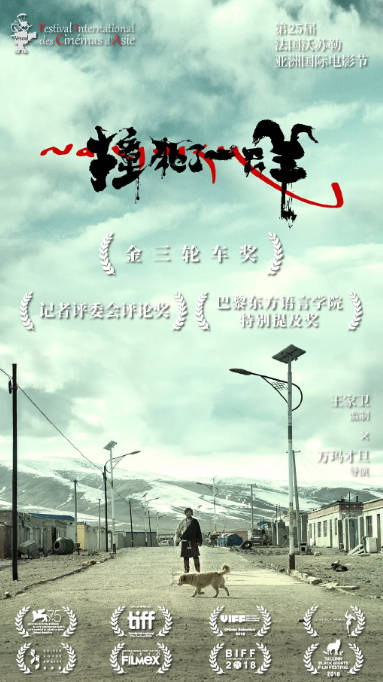 [夸克网盘]国内电影　《撞死了一只羊》（2018）剧情　豆瓣评分7.1-燕窝网盘资源下载网