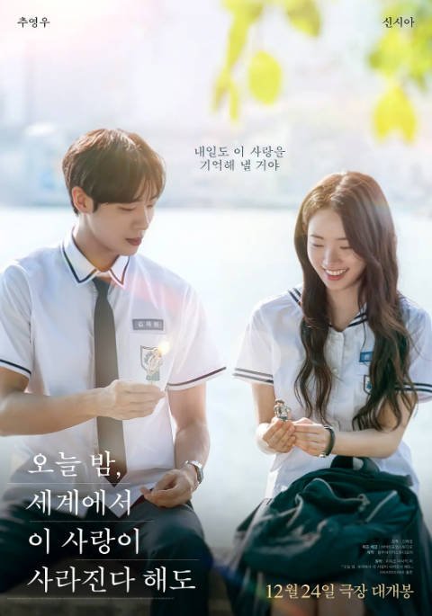 [夸克网盘]韩国电影《今夜，就算这份爱恋从世界上消失》（2025）爱情-燕窝网盘资源下载网