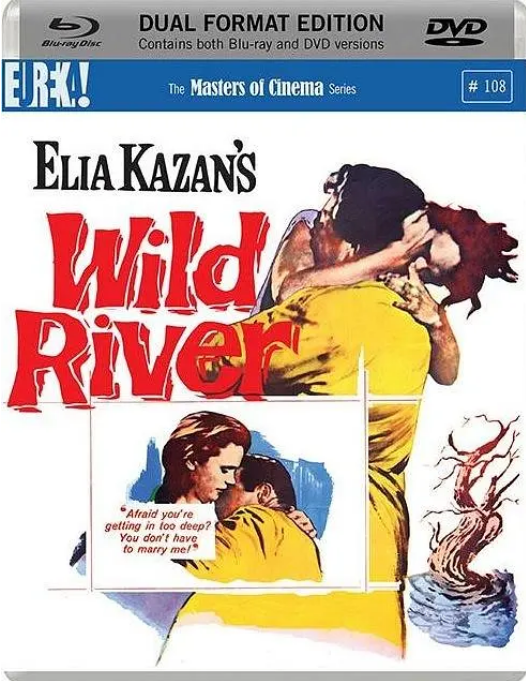 [夸克网盘]美国电影《狂澜春醒》（1960）剧情 / 爱情 豆瓣7.4-燕窝网盘资源下载网