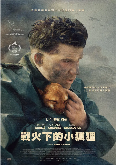 [夸克网盘]德国电影《战火中的小狐狸》（2022）剧情 / 历史 / 战争 豆瓣7.3-燕窝网盘资源下载网