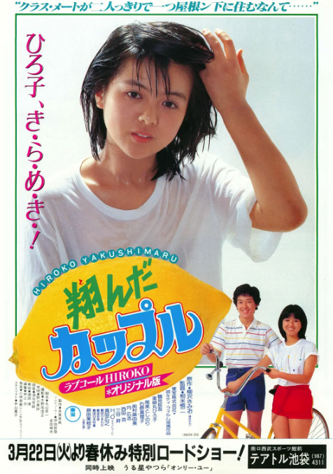 [夸克网盘]日本电影《飞翔的一对》（1980）剧情 豆瓣7.6-燕窝网盘资源下载网