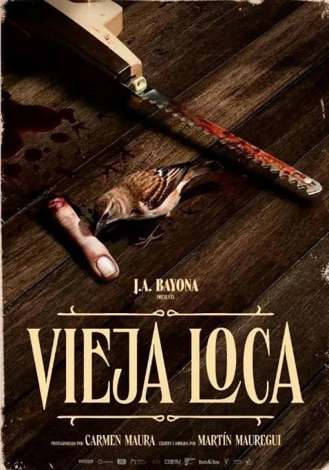 [夸克网盘]西班牙电影《老疯婆子》（2025）惊悚 / 恐怖-燕窝网盘资源下载网