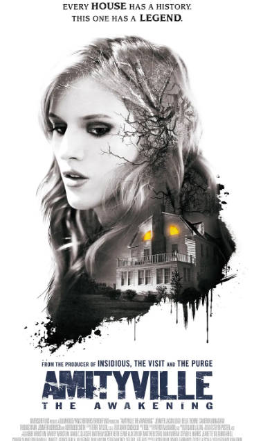 [夸克网盘]美国电影《鬼哭神嚎：觉醒》（2017）惊悚 / 恐怖 豆瓣5.5-燕窝网盘资源下载网