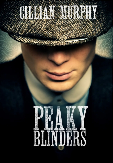 [夸克网盘][英剧]《浴血黑帮》（1-6季）（2013-2022） 剧情 / 犯罪 豆瓣9.3-燕窝网盘资源下载网