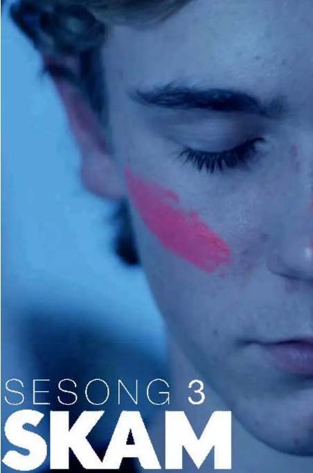 [夸克网盘]连续剧《羞耻》合集（比利时版+法国版+荷兰版+美国版+西班牙版+意大利版+挪威版+德国版）-燕窝网盘资源下载网