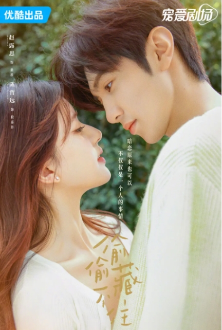 [夸克网盘]连续剧《偷偷藏不住》（2023年）-燕窝网盘资源下载网