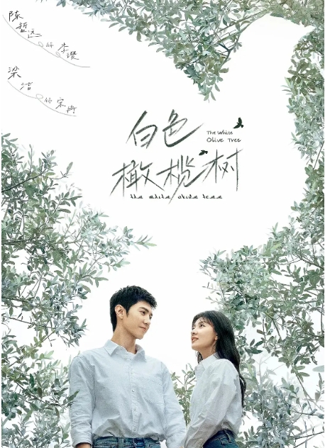 [夸克网盘]【国剧】《白色橄榄树》（2025年）剧情 / 爱情-燕窝网盘资源下载网