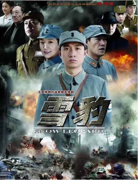 [夸克网盘]电视剧  战争《雪豹》(2010)-燕窝网盘资源下载网