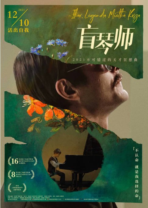 [夸克网盘]波兰电影《盲琴师》（2019）剧情 / 传记 豆瓣7.1-燕窝网盘资源下载网