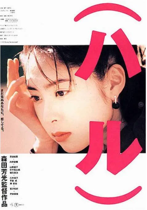 [夸克网盘]日本电影《春天情书》（1996）剧情 / 爱情 豆瓣8.6-燕窝网盘资源下载网