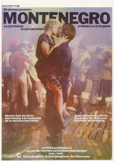 [夸克网盘]瑞典电影《猪与珠》（1981）剧情 / 喜剧 豆瓣6.7-燕窝网盘资源下载网