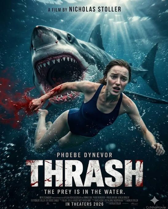 [夸克网盘]澳大利亚电影《狂鲨风暴》（2026）惊悚 / 恐怖 豆瓣5.4-燕窝网盘资源下载网